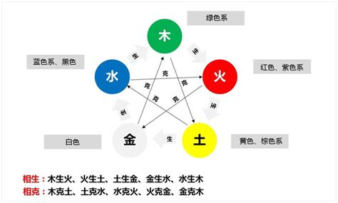 五行植物|植物的五行